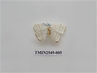 藏品(尺蛾39)的圖片
